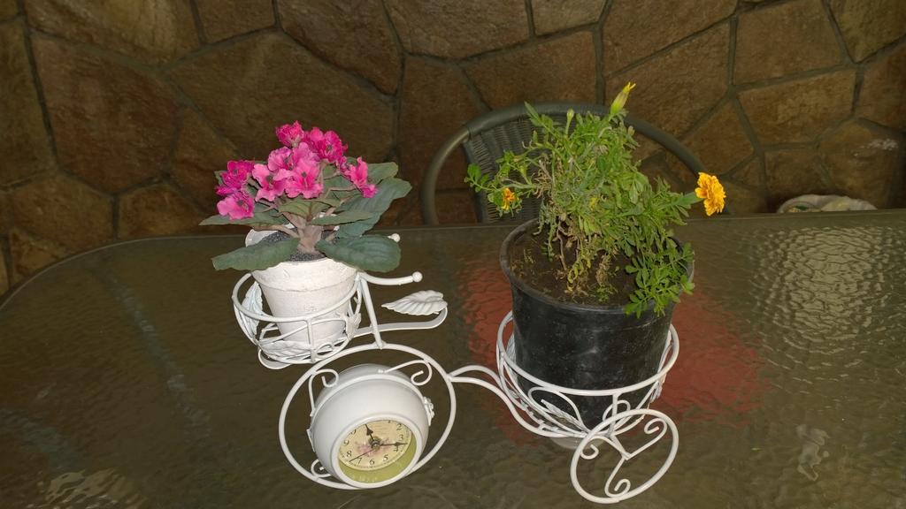 Bed & Breakfast Blumen Haus Santiago de Chile Eksteriør billede